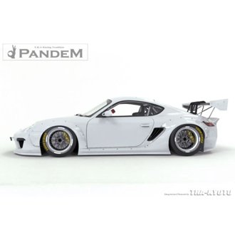 Pandem RB 09-12 Porsche Cayman V2 Front Over-Fenders (Special Order