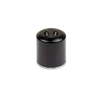 05-21 Polaris 200 Oil Filter