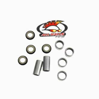 Swing Arm Bearing Kit