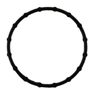 Engine Coolant Thermostat Gasket
