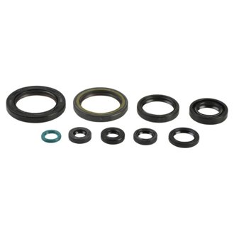 09-16 Honda CFR450R Engine Oil Seal Kit