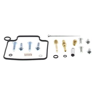 Carburetor Rebuild Kit