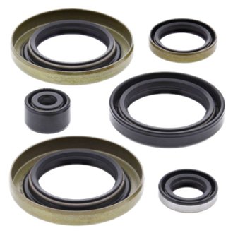 Engine Oil Seal Kit