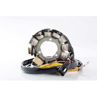 Ricks Motorsport Polaris Stator