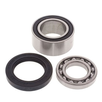 Snowmobile Chain Case Bearing & Seal Kit