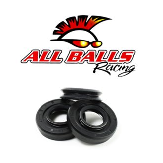 Differential Seal Kit