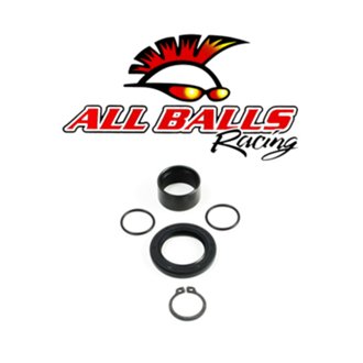 Countershaft Seal Kit