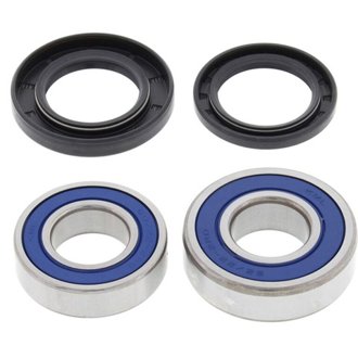 Wheel Bearing Kit Rear