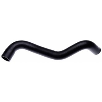 04-06 Toyota Sienna V-6 3.3L Lower Molded Coolant Hose