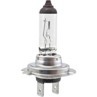 Multi-Purpose Light Bulb