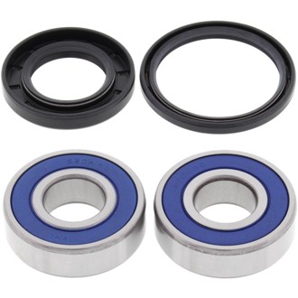 Racing 03-09 Suzuki AN650 Burgman Wheel Bearing Kit - Rear