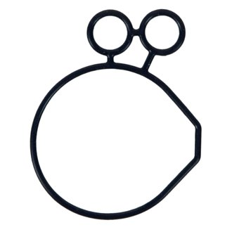 Engine Oil Pump Seal