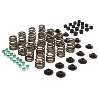 Valve Spring Kit 1.250in