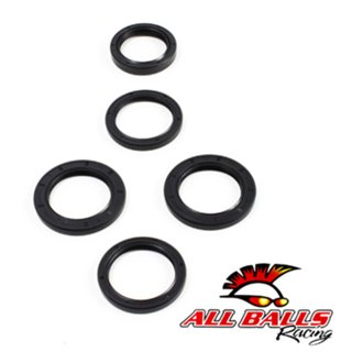 Differential Seal Kit