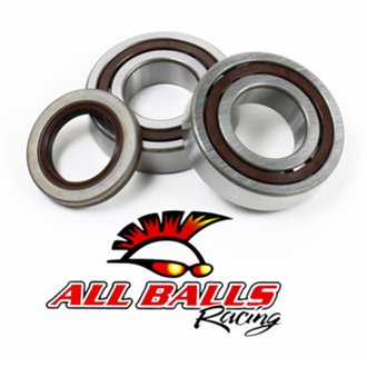Crank Bearing And Seal Kit