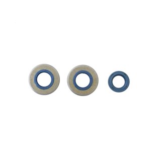 Minarelli 2T V1 49 Engine Oil Seal Kit