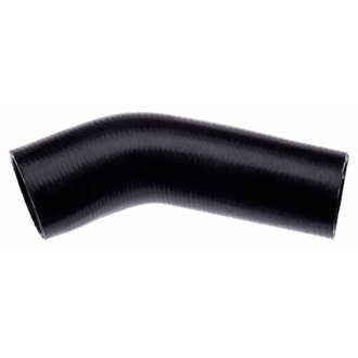 96-01 Ford Mustang V-8 4.6L Lower - Rad. To Thermostat Molded Coolant Hose