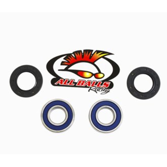 Wheel Bearing Kit Rear