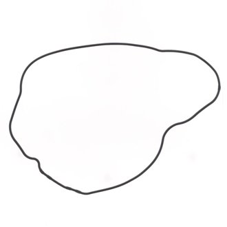95-03 Honda TRX 400 FW Generator Side Gasket