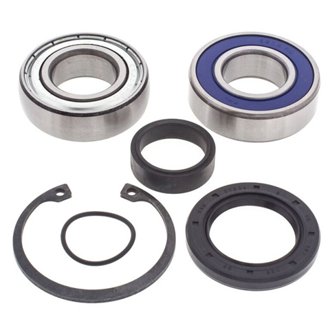 Snowmobile Chain Case Bearing & Seal Kit