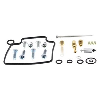Carburetor Rebuild Kit