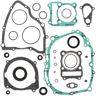 Complete Gasket Kit Withoil Seals