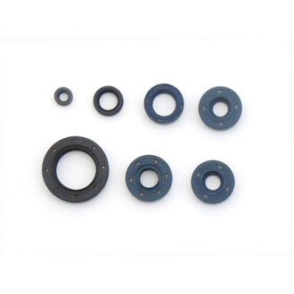 2000 Bombardier DS 650 Engine Oil Seal Kit