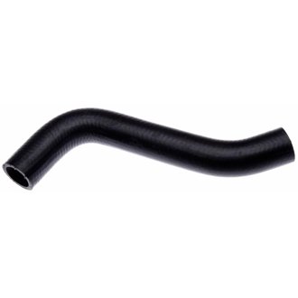 01-05 Dodge Neon 4-Cyl. 2.0L Lower Molded Coolant Hose