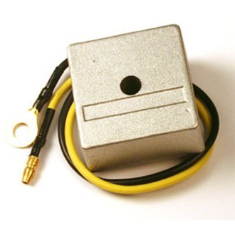 Electrosport Regulator 12V Ac
