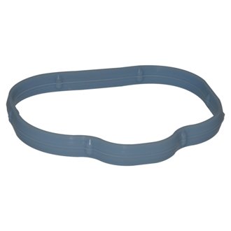 Intake Manifold Gasket