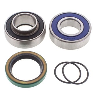 Snowmobile Chain Case Bearing & Seal Kit