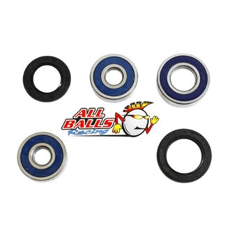 Wheel Bearing Kit Rear