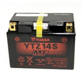 MAINTENANCE FREE 12 VOLT BATTERY