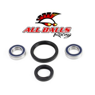 Wheel Bearing Kit.