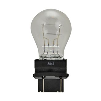 Tail Light Bulb