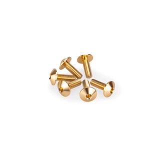 Screw Kit Anodized For Screens Gold