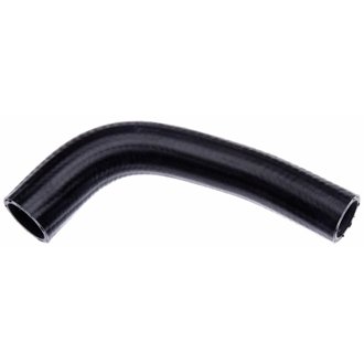 03-05 Mazda 6 V-6 3.0L Lower - Rad. To Pipe Molded Coolant Hose