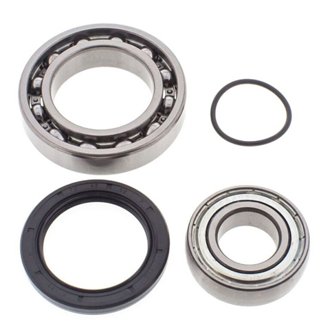 Snowmobile Chain Case Bearing & Seal Kit