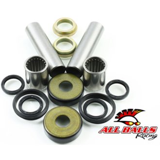 Swing Arm Bearing Kit