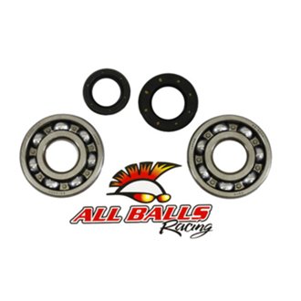 Allballs Crank Bearing And Seal Kit