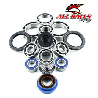Differential Bearing And Seal Kit