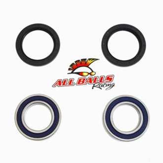 Rear Wheel Bearing Kit - Both Wheels