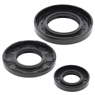 Engine Oil Seal Kit