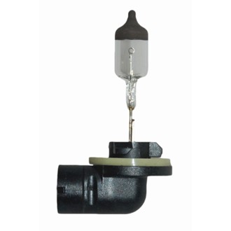 Multi-Purpose Light Bulb