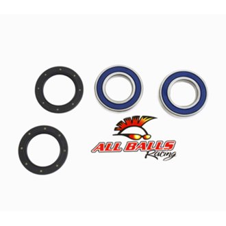 Wheel Bearing Kit Rear