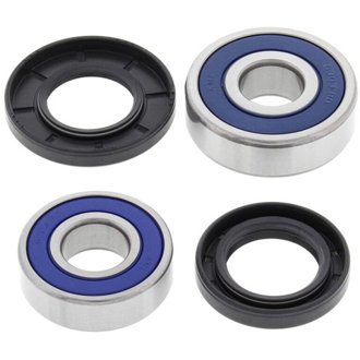 Wheel Bearing Kit Rear