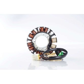 Ricks Motorsport New Hot Shot Series Kawasaki Stator