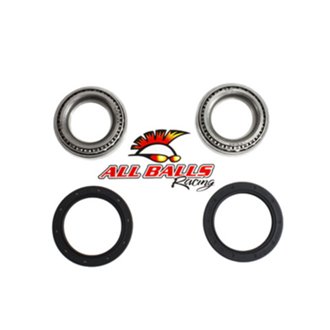 Rear Wheel Bearing Kit - Both Wheels