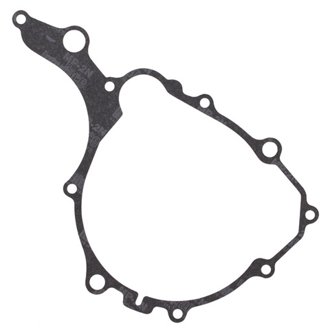 Ignition Gasket