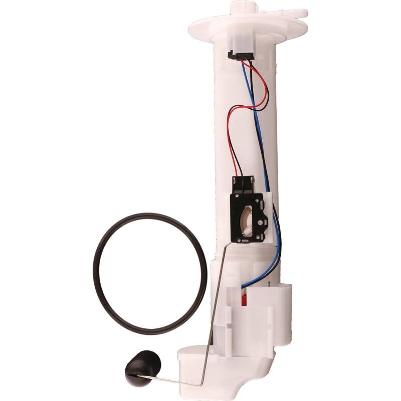 Photo - Primary